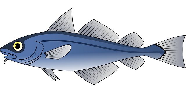 nakreslený tuňák